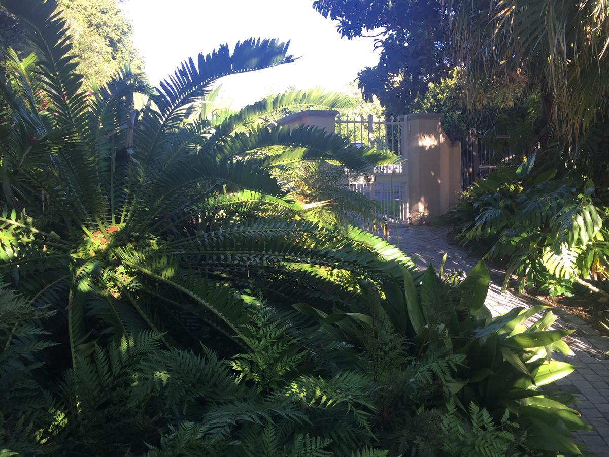 康斯坦提亚谷山林小屋 开普敦 外观 照片